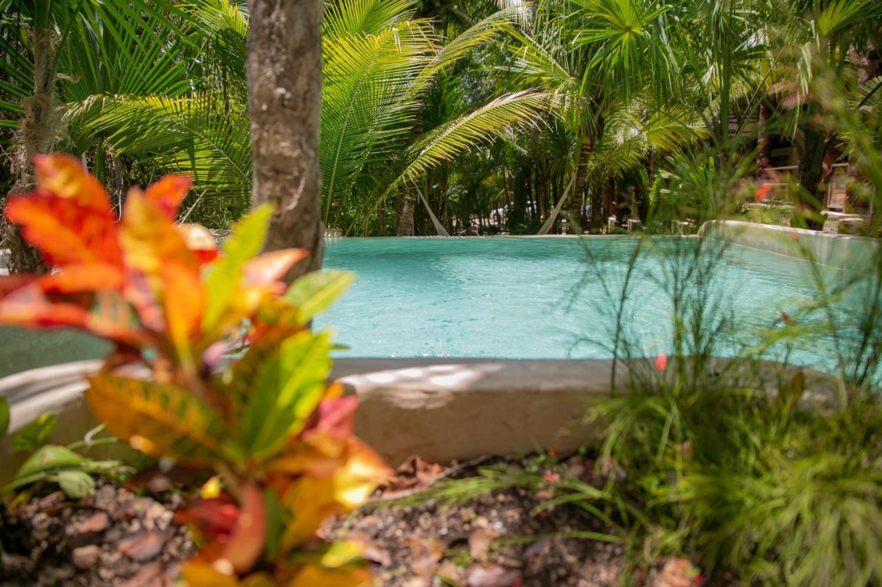 Hotel Buenavista Bacalar Jungle Experience Exterior foto